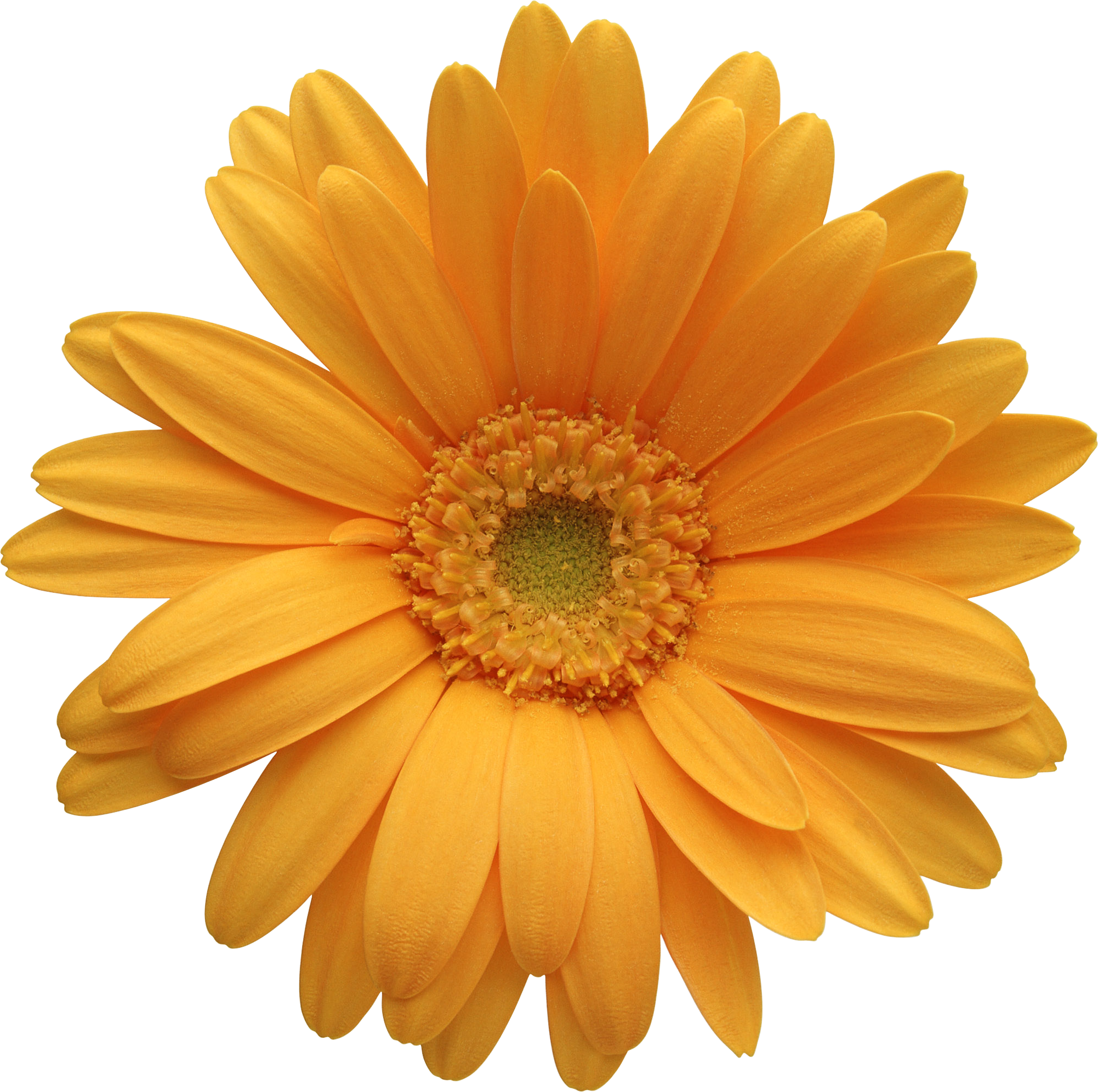 0_3d5b4_94706a9_orig.png